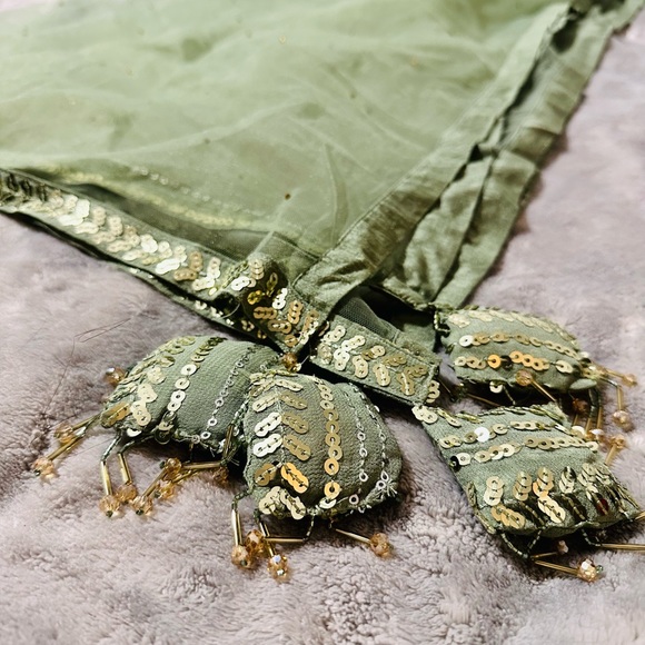 Sage Green Lehenga - Picture 1 of 4